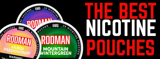 How Does Rodman Nic Pouches Compare to ZYN (Among Others): Experts Weigh In...