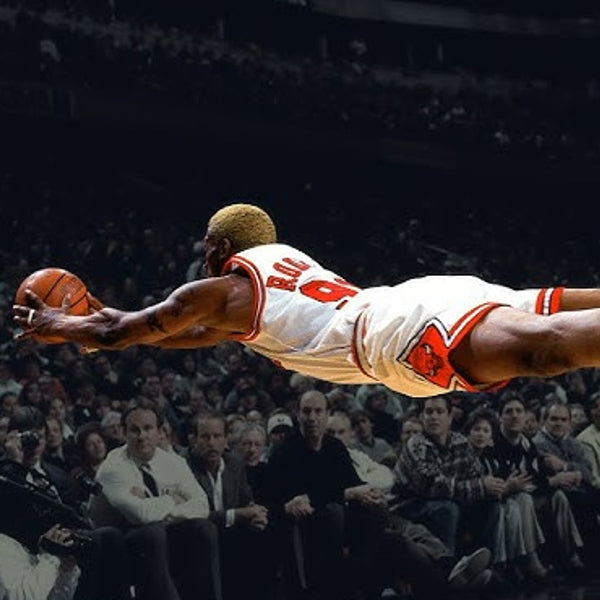 Dennis Rodman Rebound